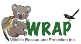 Wildlife Rescue & Protection